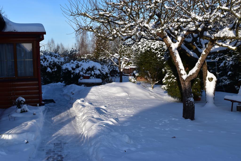 Ferienwohnung Domek Jaskolka Białowieża Exterior foto